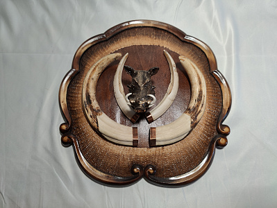 Превью Клыки кабана на резном медальоне