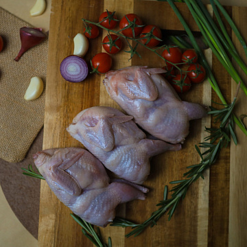 Фото Перепел домашний Фермерские продукты 
